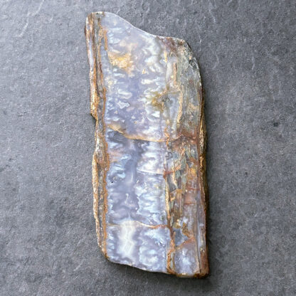 Idaho Prudent Man Plume Agate Slab